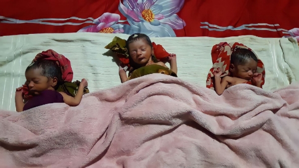 টাঙ্গাইলে একসঙ্গে তিন কন্যা সন্তানের জন্ম দিলেন প্রবাসীর স্ত্রী - Ekotar Kantho